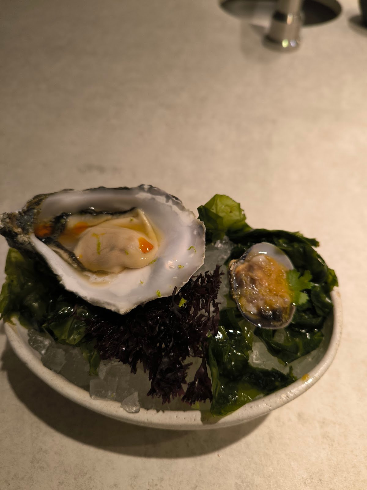 Oyster and clam