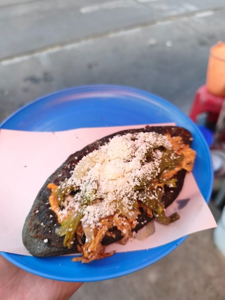 Jenni's quesadilla - Tlacoyo