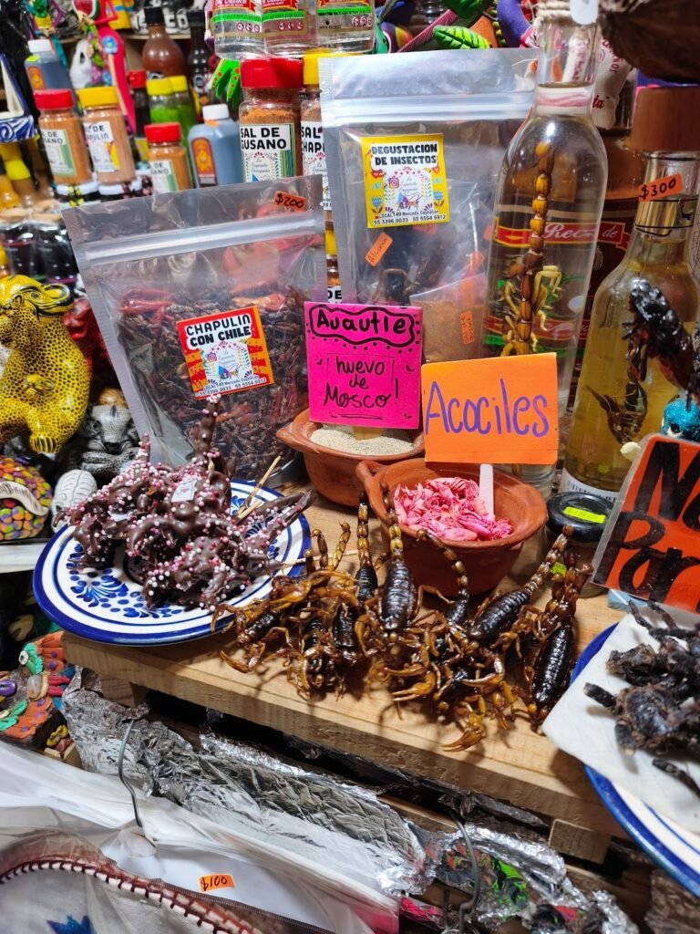 Mercado de Coyoacán - insects